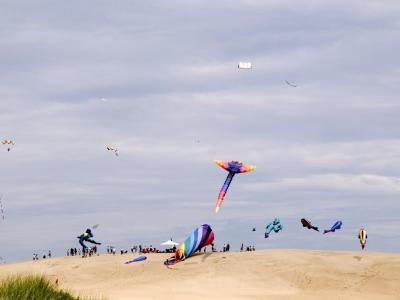 Kite Festival