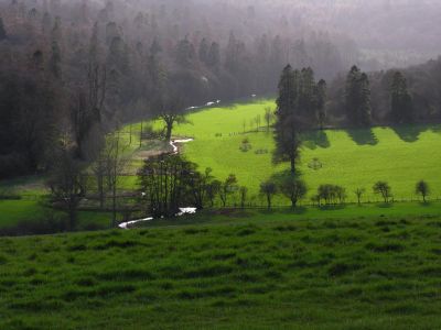 Window - English Countryside