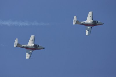 Canadian Snowbirds
