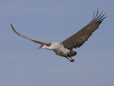 JW5Z6451-01.jpg
