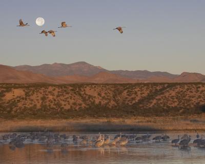 SunriseMoonset1.jpg