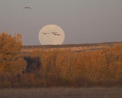 SunsetMoonrise.jpg