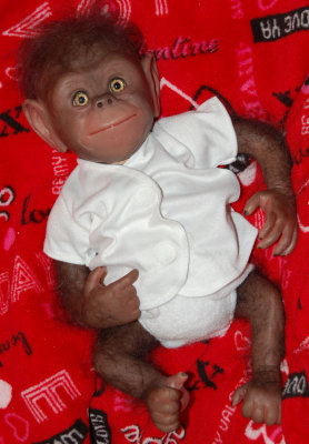 Ceasar - Planet of the Apes monkey made for my husband