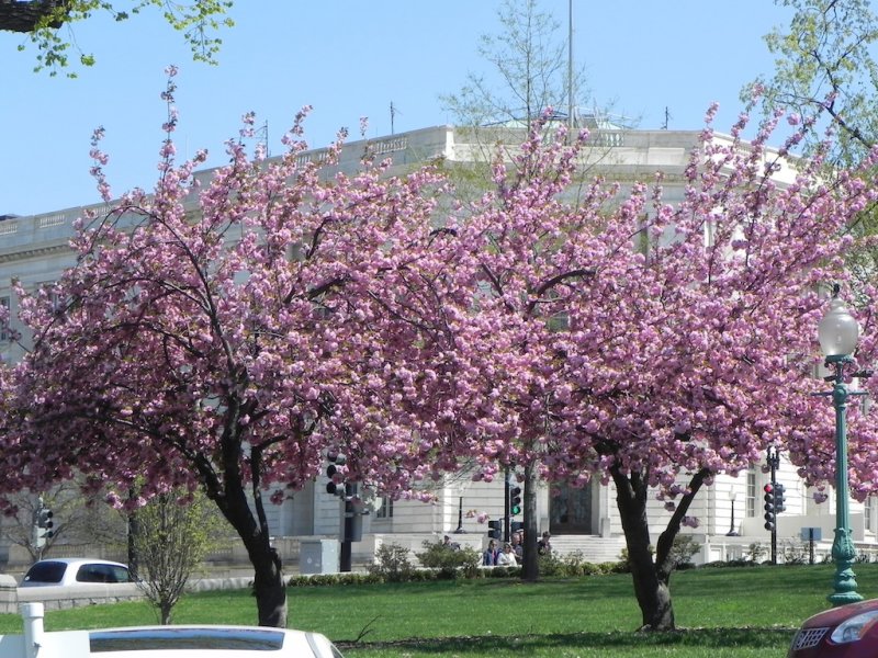 DSCN7680.JPG