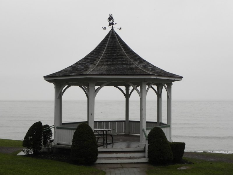 DSCN7990.JPG