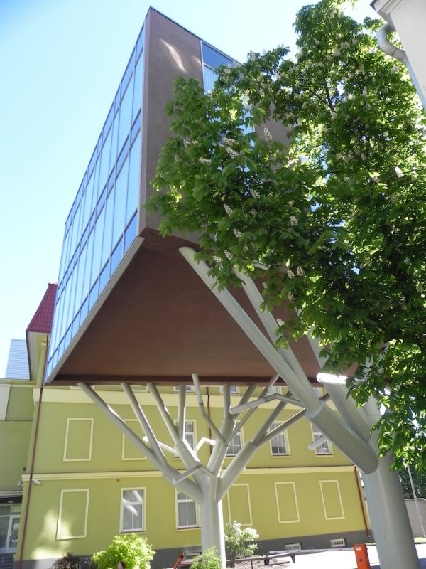 DSCN8653.JPG