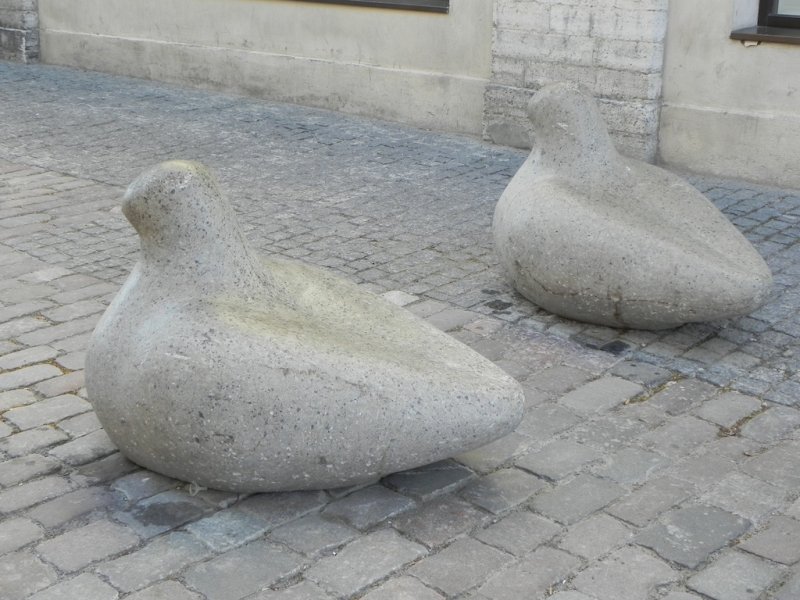 DSCN8670.JPG