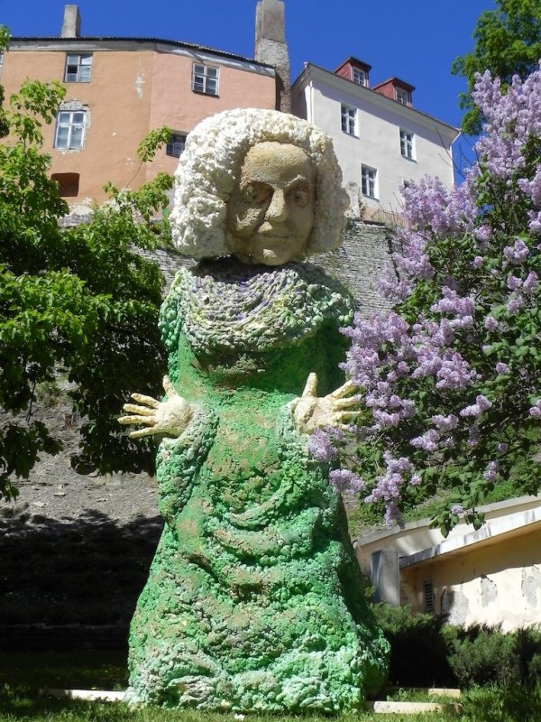 DSCN8750.JPG