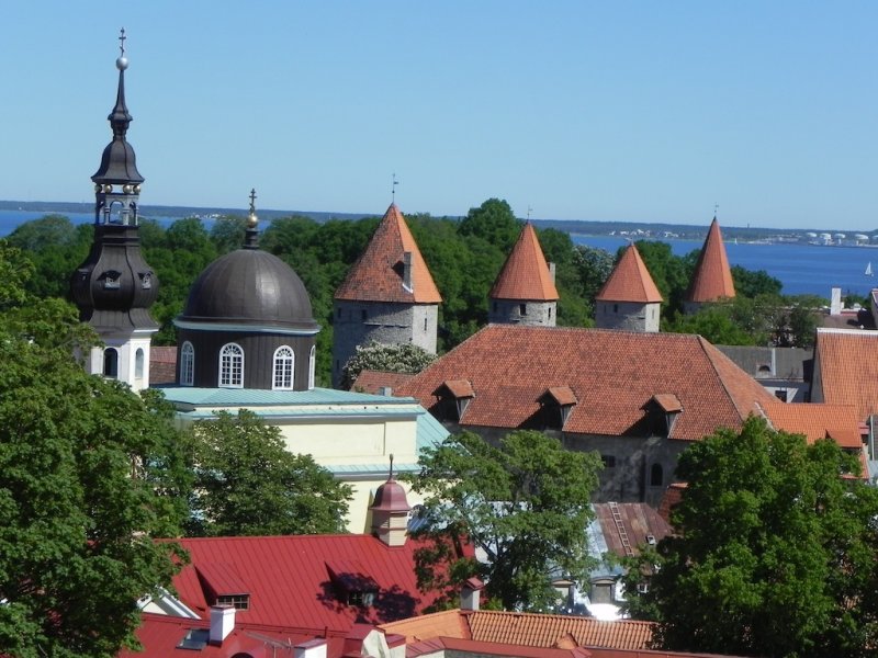 DSCN8798.JPG