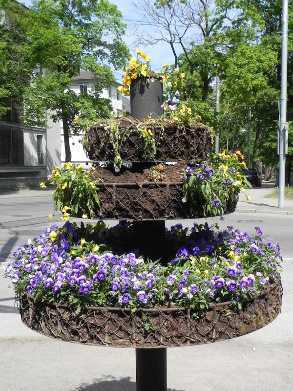 DSCN8990.JPG