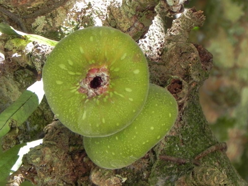 2B_DSCN0004.JPG