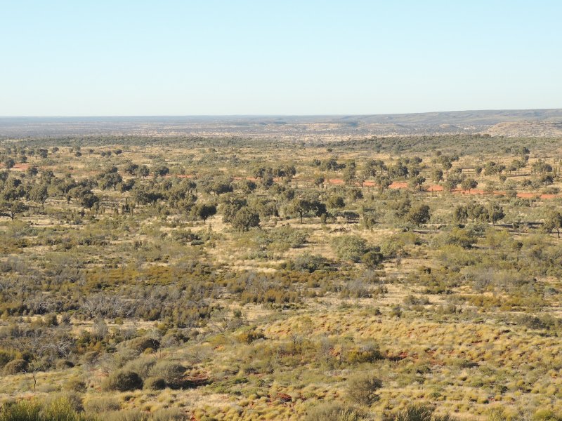 DSCN2868.JPG