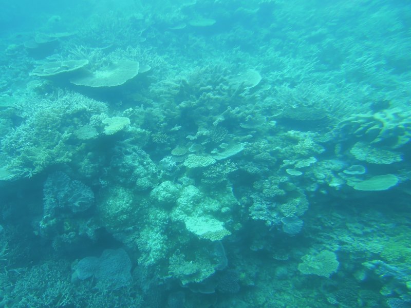 DSCN2599.JPG