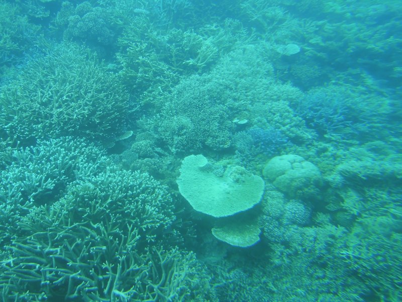 DSCN2600.JPG