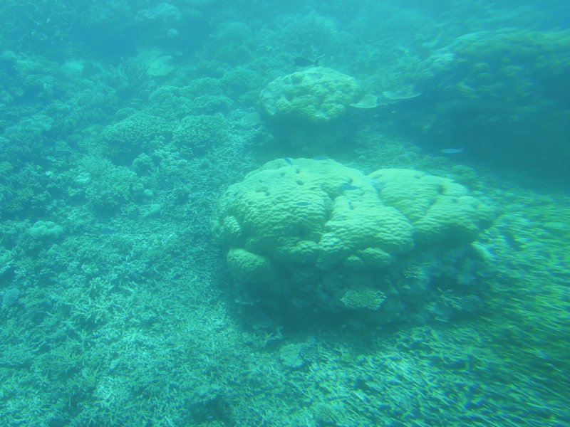 DSCN2606.JPG