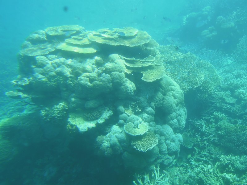 DSCN2627.JPG