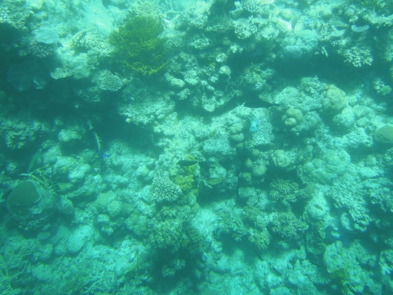 DSCN2635.JPG