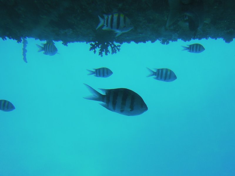 DSCN2638.JPG