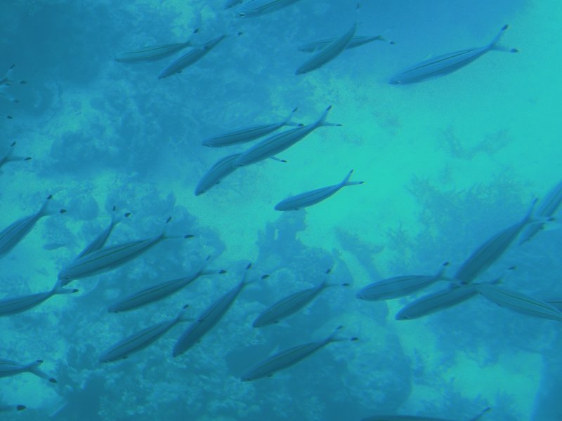 DSCN2657.JPG