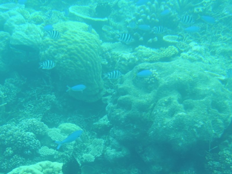 DSCN3668.JPG