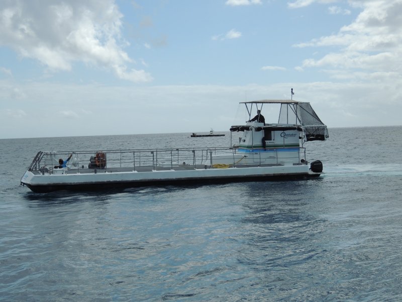 DSCN3720.JPG