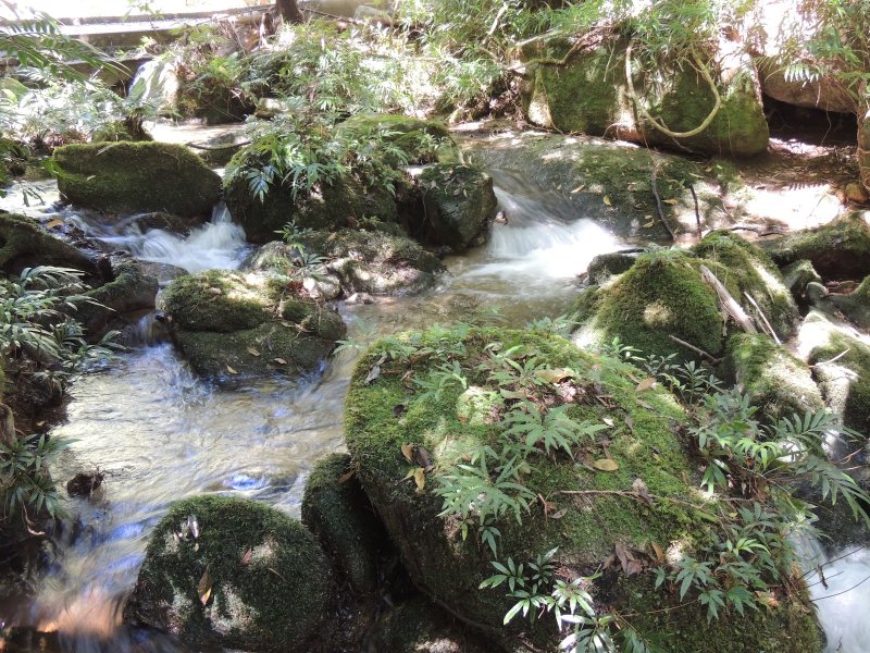DSCN3956.JPG