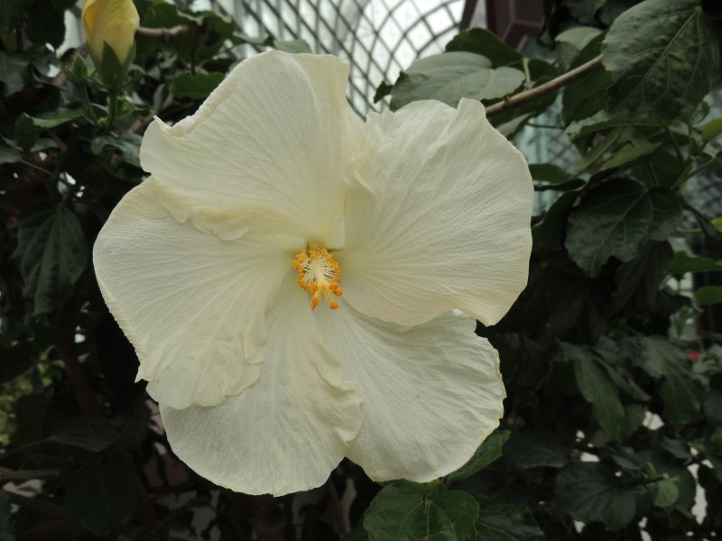 DSCN4436.JPG