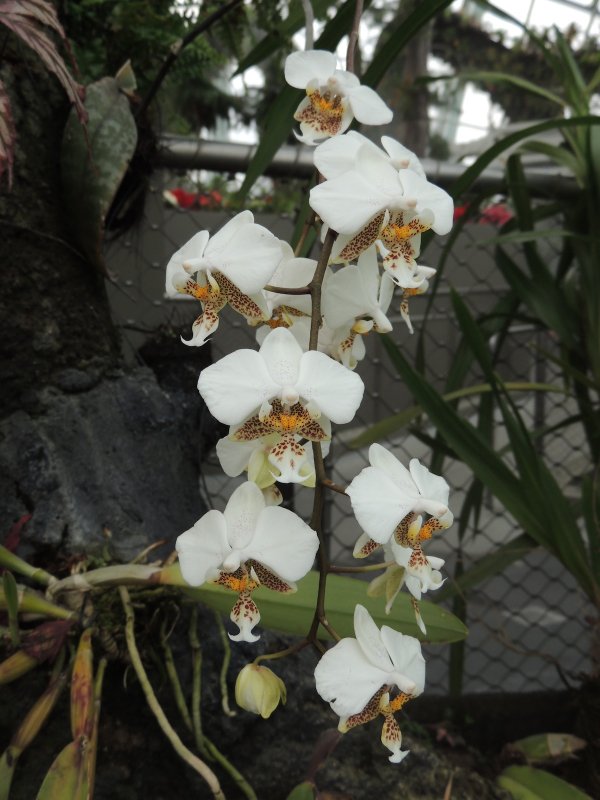 DSCN4460.JPG