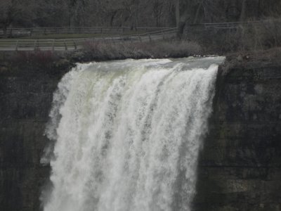 DSCN7977.JPG