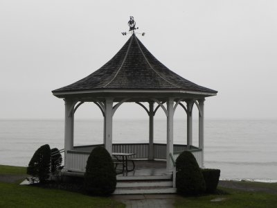 DSCN7990.JPG