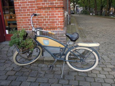 DSCN1677.JPG