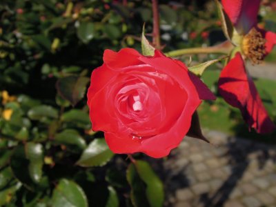 DSCN1710.JPG