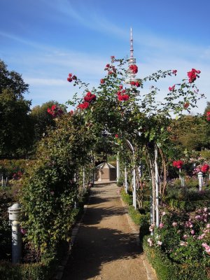 DSCN1718.JPG