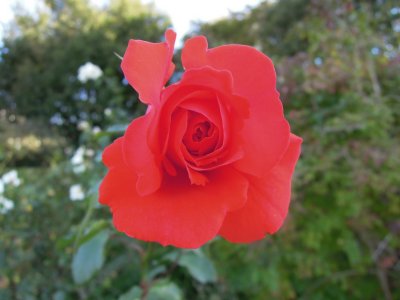 DSCN1723.JPG