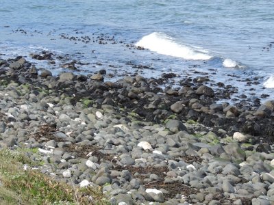 DSCN0830.JPG