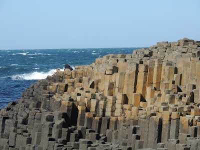 DSCN0872.JPG