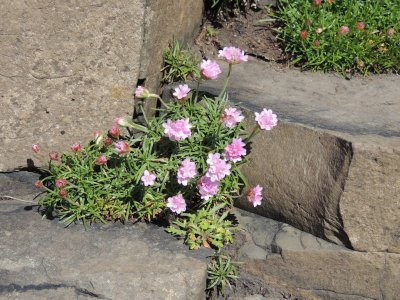 DSCN0876.JPG