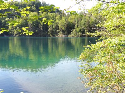 DSCN1207.JPG