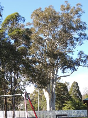 DSCN2272.JPG