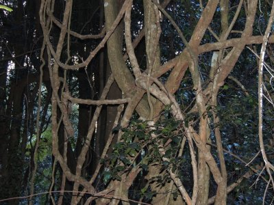 DSCN2360.JPG