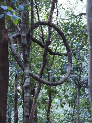 DSCN2369.JPG