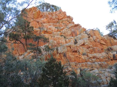 DSCN2976.JPG
