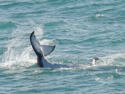 Port Douglas & Great Barrier Reef