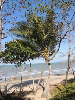 DSCN3636.JPG