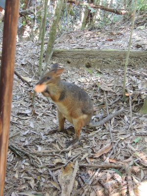 DSCN3819.JPG