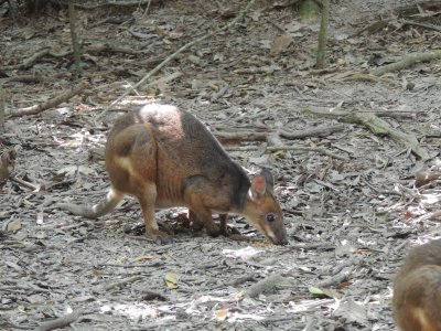 DSCN3916.JPG