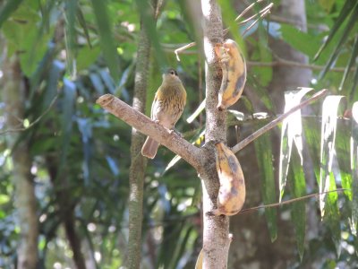 DSCN3930.JPG