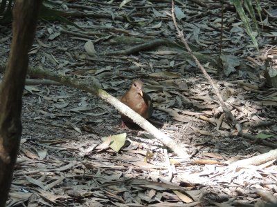 DSCN3936.JPG