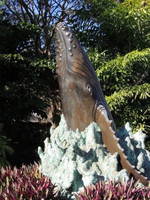DSCN4076.JPG