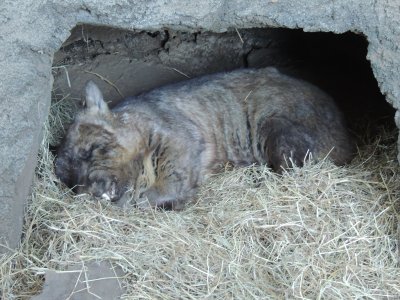 DSCN4209.JPG